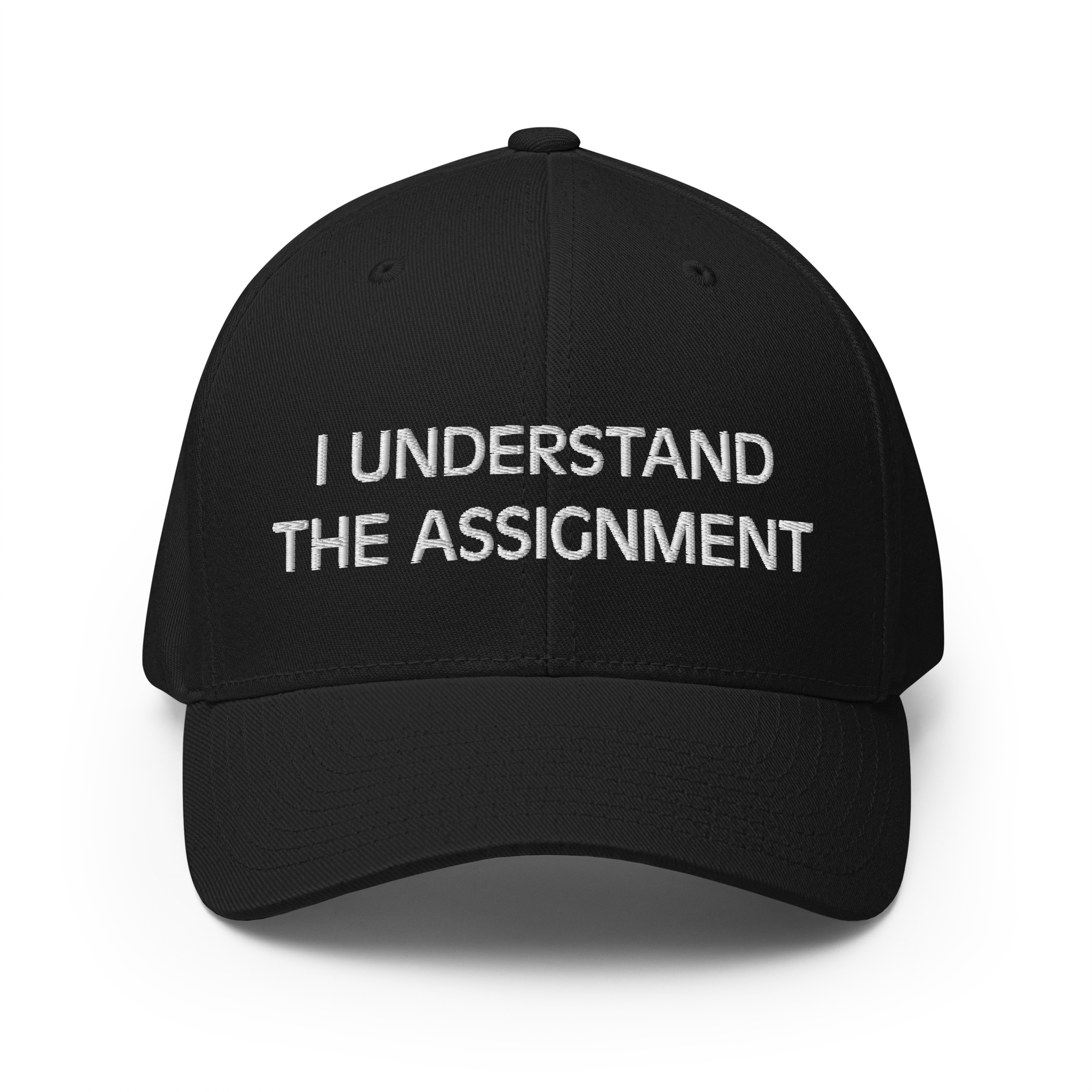 I Understand the Statement Flexfit Hat