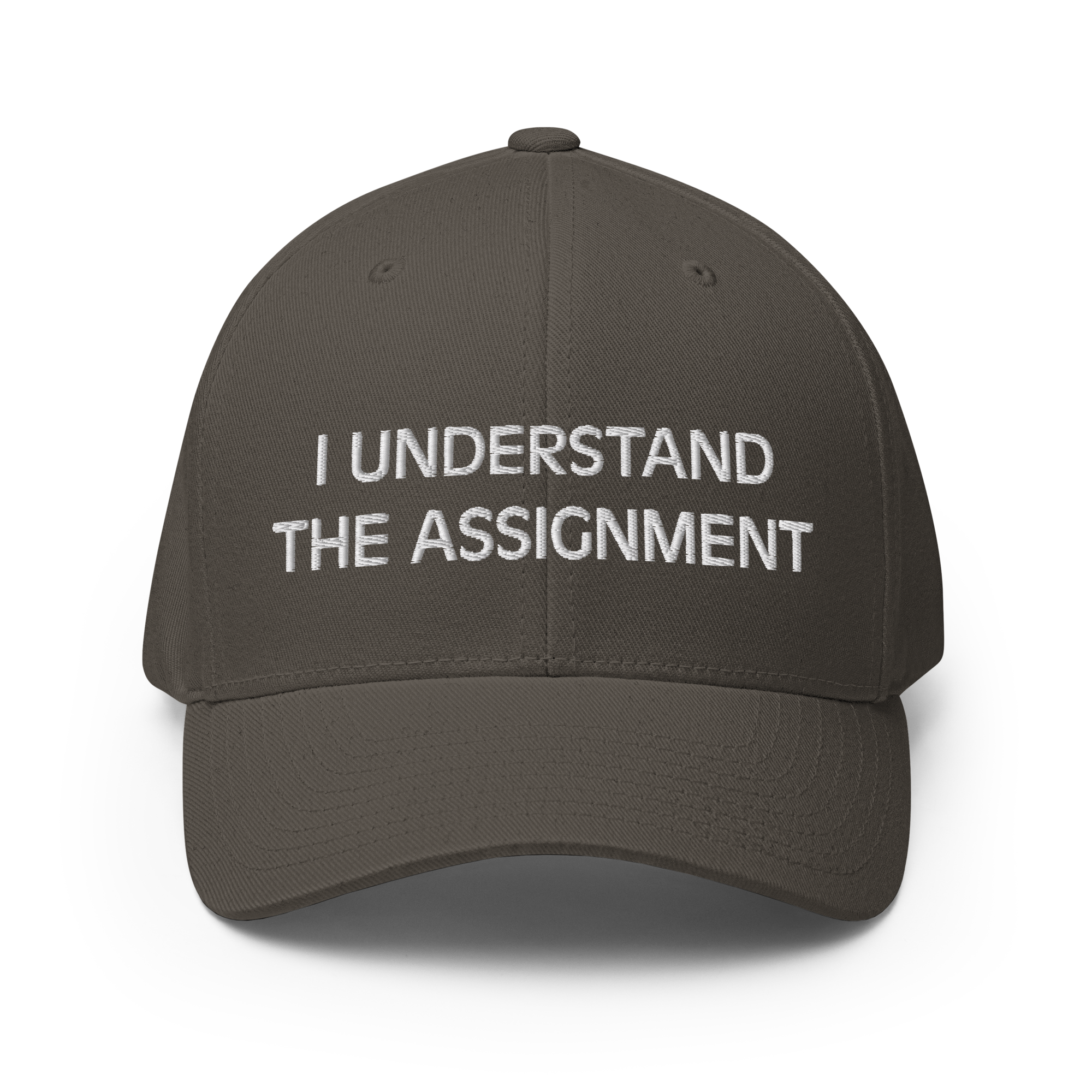 I Understand the Statement Flexfit Hat