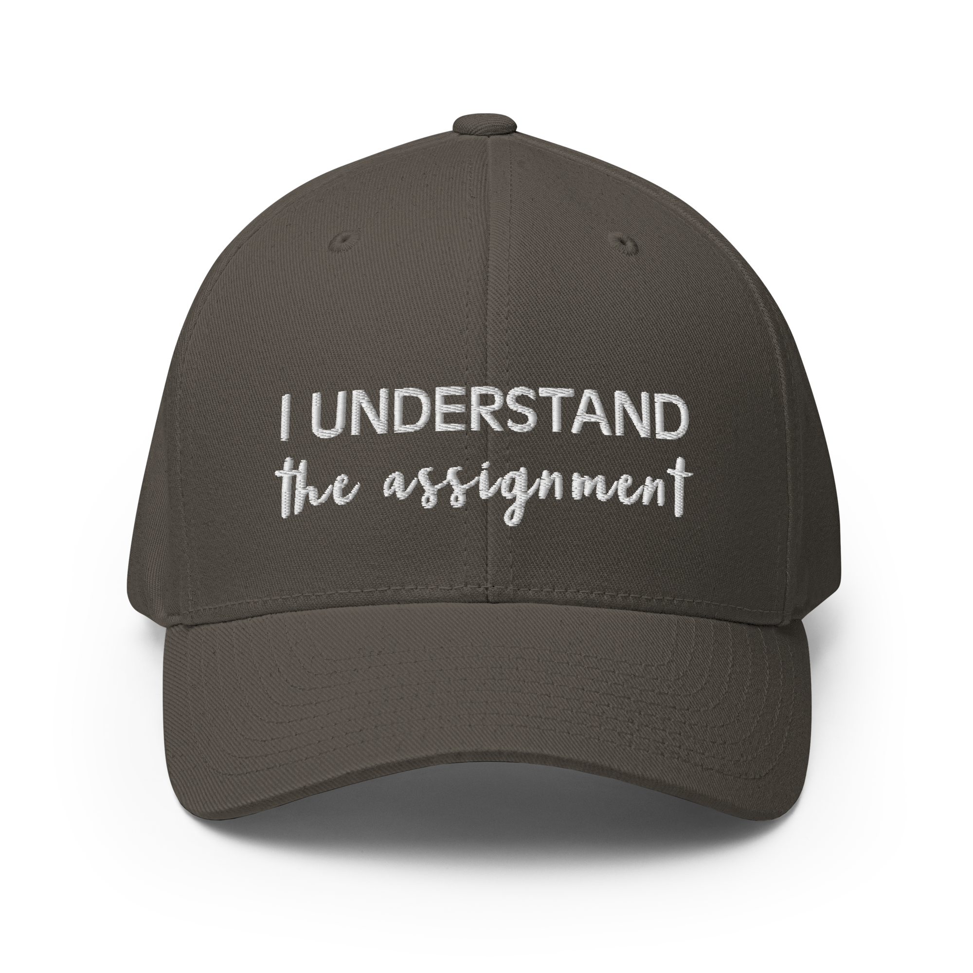 I Understand the Assignment Script Flexfit Hat