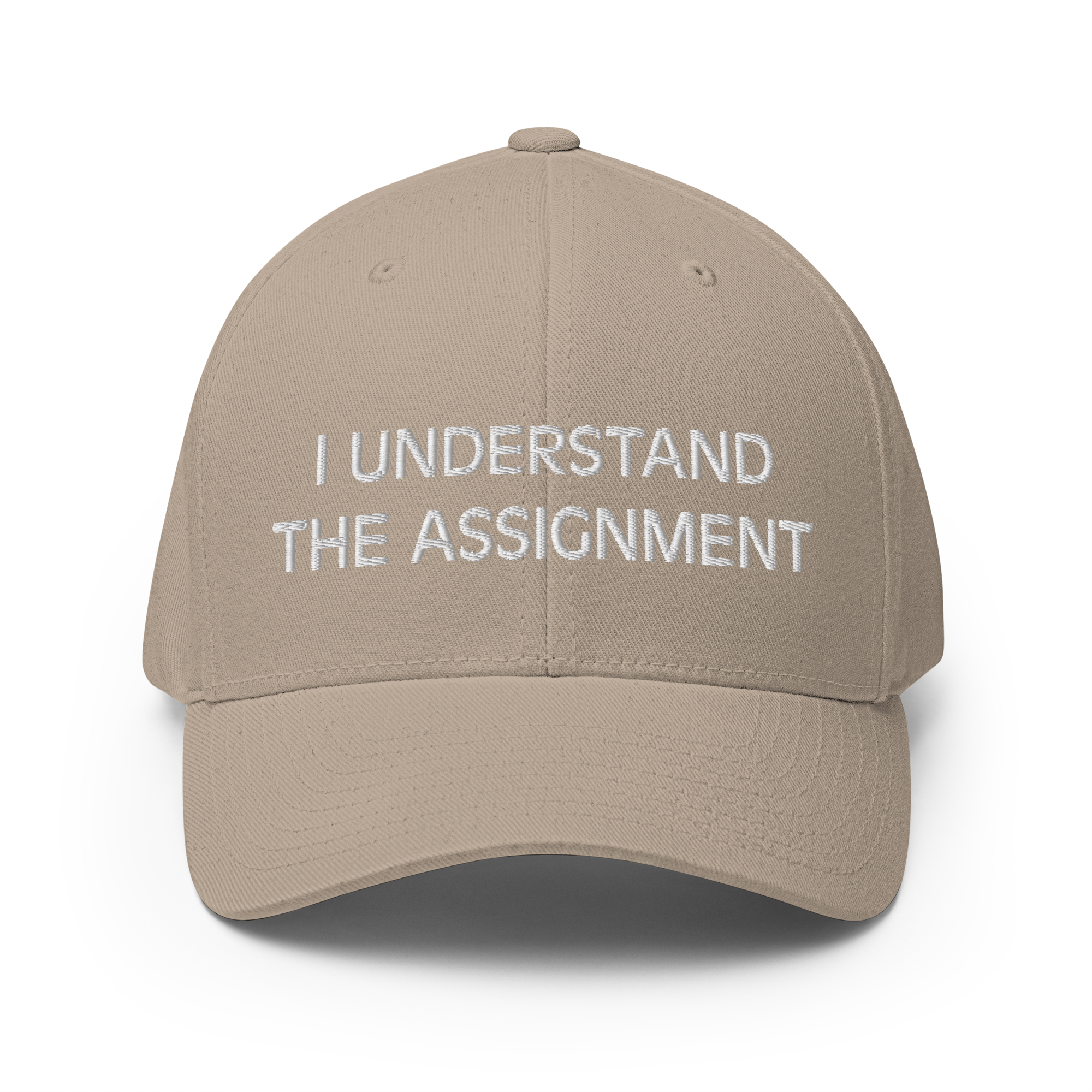 I Understand the Statement Flexfit Hat