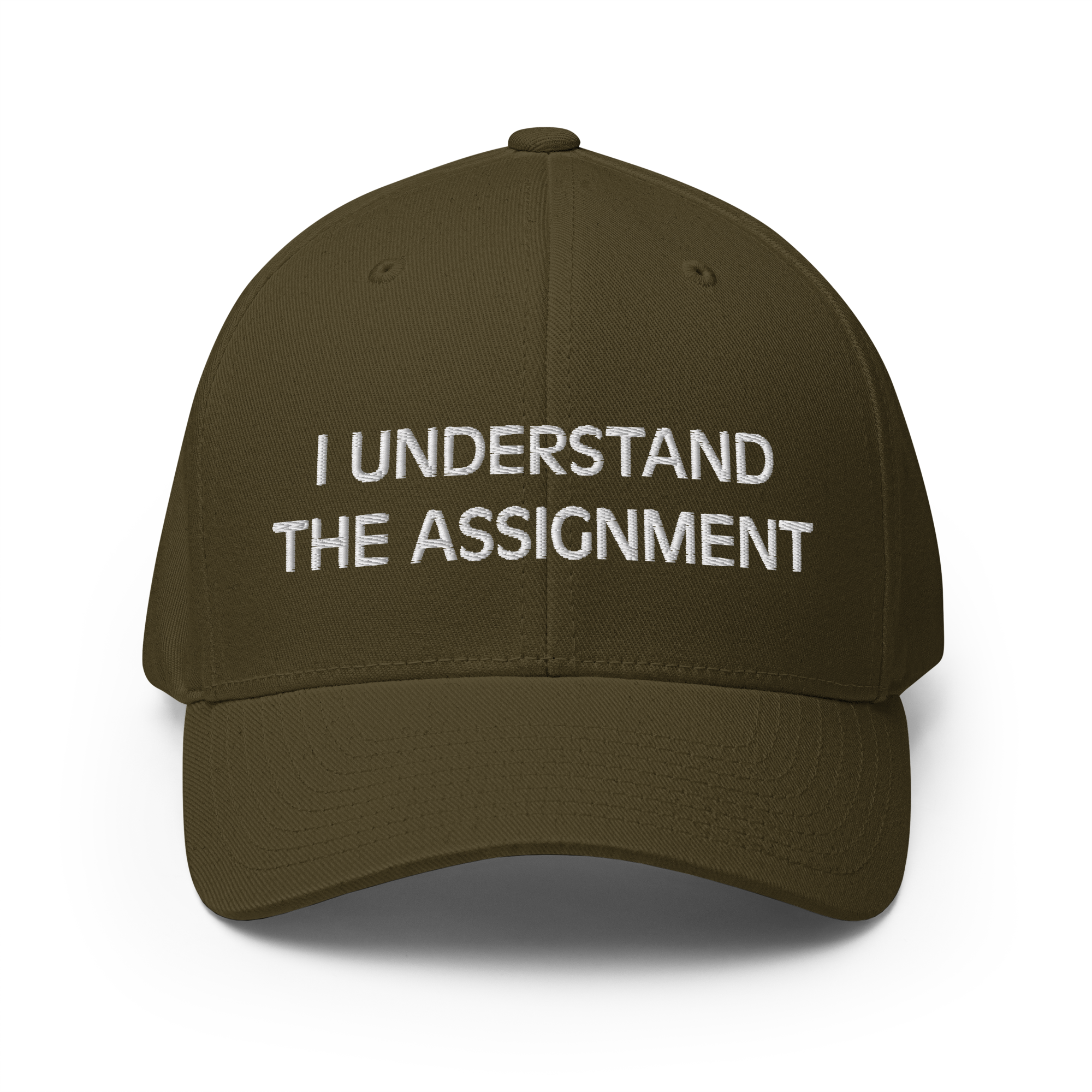 I Understand the Statement Flexfit Hat