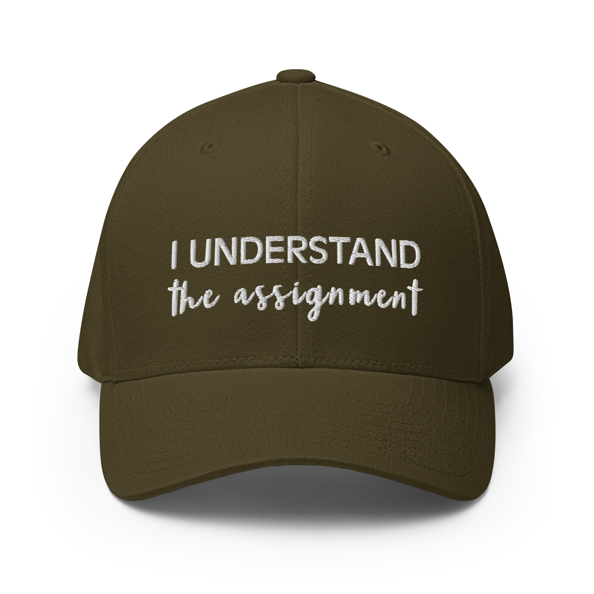 I Understand the Assignment Script Flexfit Hat