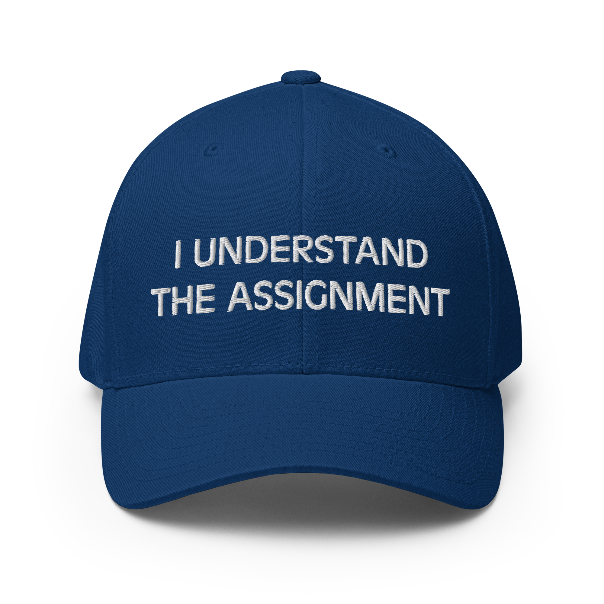 I Understand the Statement Flexfit Hat