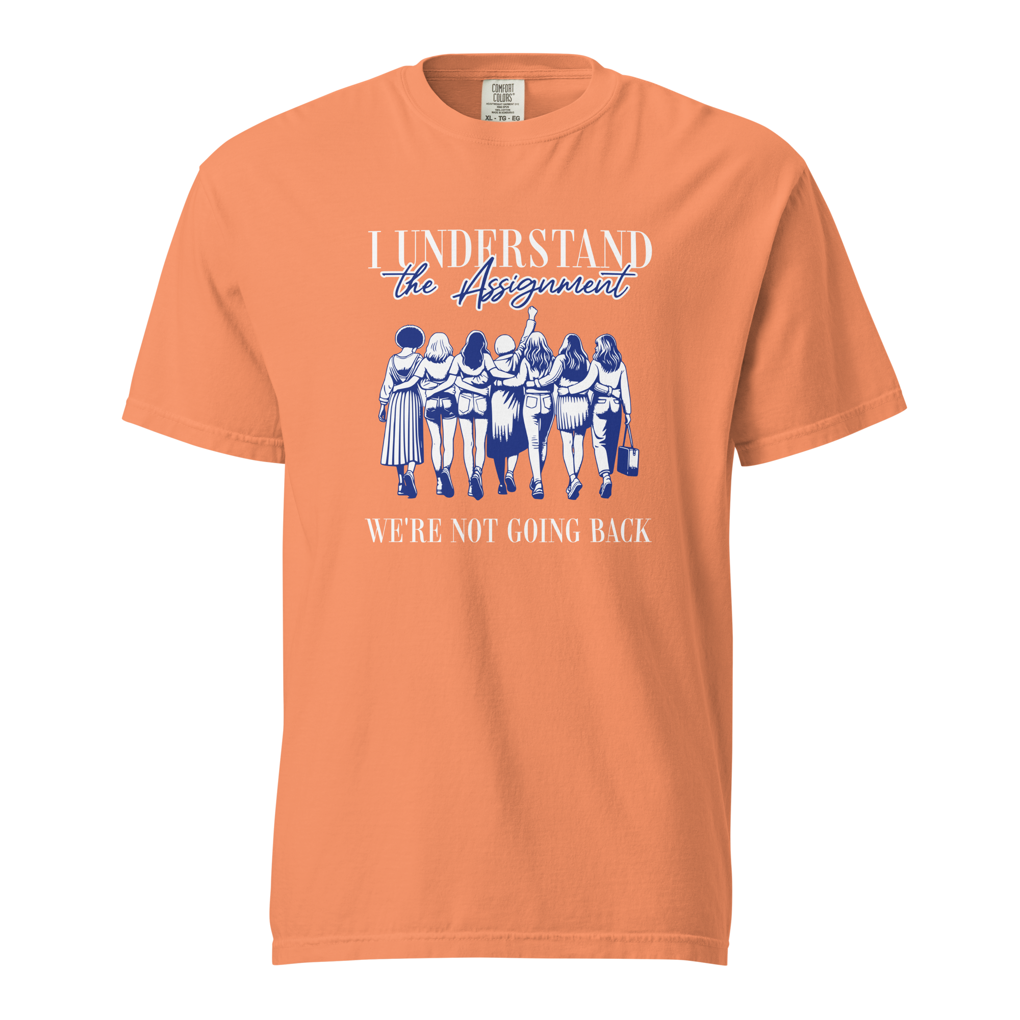 I Understand the Assignment Heavyweight Tee